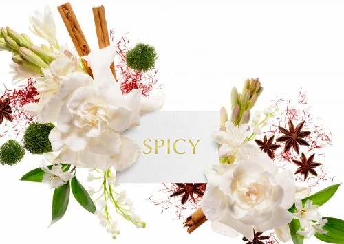 Floral arrangement featuring white flowers, cinnamon sticks, and star anise, set against a bright white background with gold text overlay.