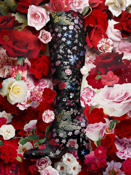 Floral-patterned knee-high boot surrounded by red, white, and pink roses, creating a high fashion, visually striking composition.