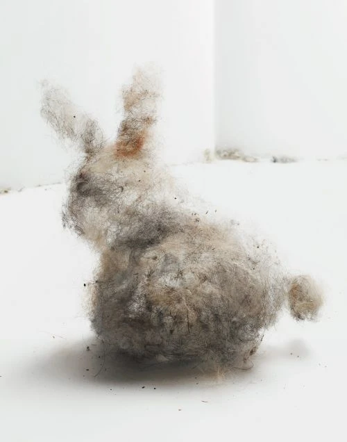 Abstract photograph of a fuzzy rabbit sculpture on a white surface in a white room, with a shadow and diffuse lighting.