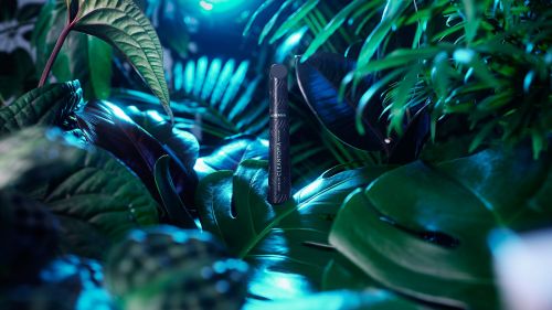 Dark tube of mascara surrounded by large tropical leaves. Cosmetic product promotion in natural environment with turquoise light.
