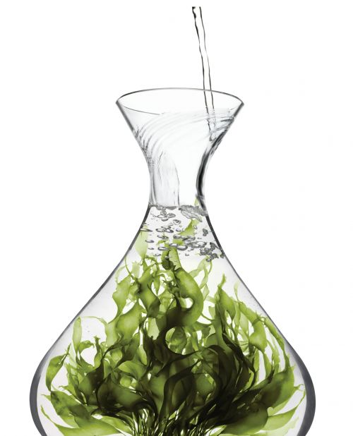 Clear glass decanter filled with green sea vegetables and clear water being poured in on a bright white background.