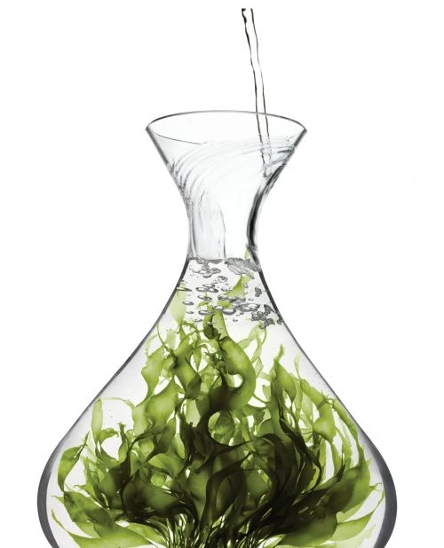 Clear glass decanter filled with green sea vegetables and clear water being poured in on a bright white background.