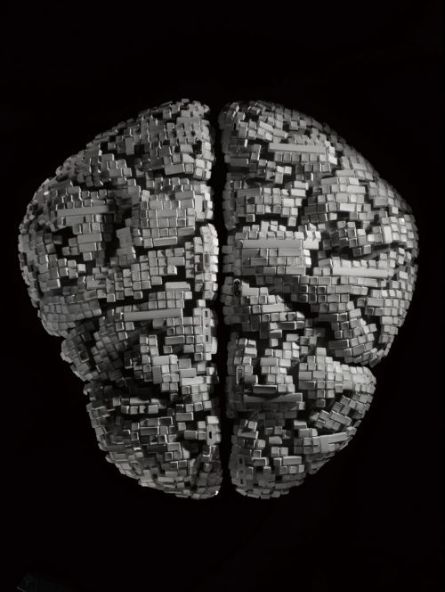 Conceptual computer-generated brain in monochrome with a block construction on a black background, emphasizing technology and healthcare.