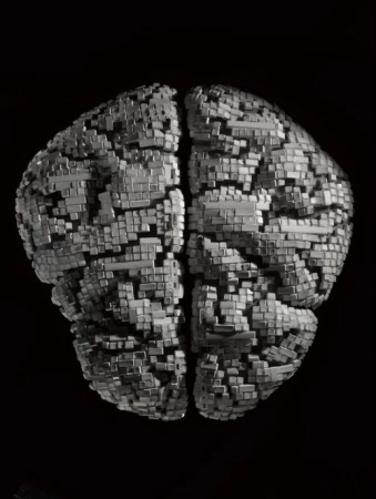 Conceptual computer-generated brain in monochrome with a block construction on a black background, emphasizing technology and healthcare.