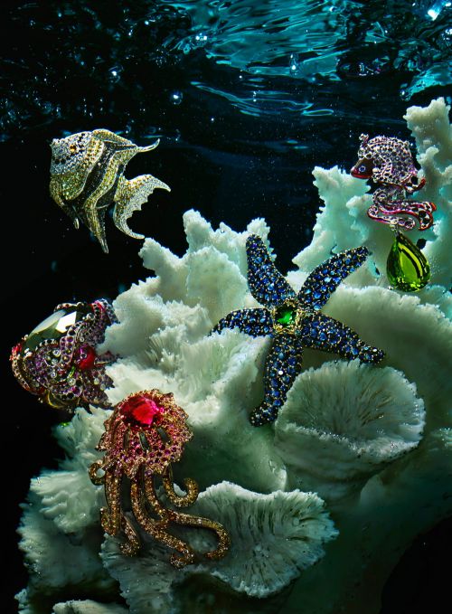 Jeweled sea animal brooches arranged on coral under water with sunlight filtering from above, creating a shimmering effect.