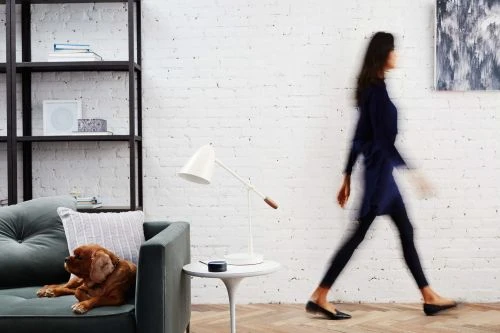 Woman walking past dog on couch in interior setting with modern decor, white brick wall, and natural light.