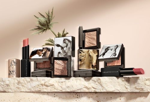 Still life shot of Chantecaille makeup products including lipstick and eye shadow, displayed on a stone surface with green foliage.