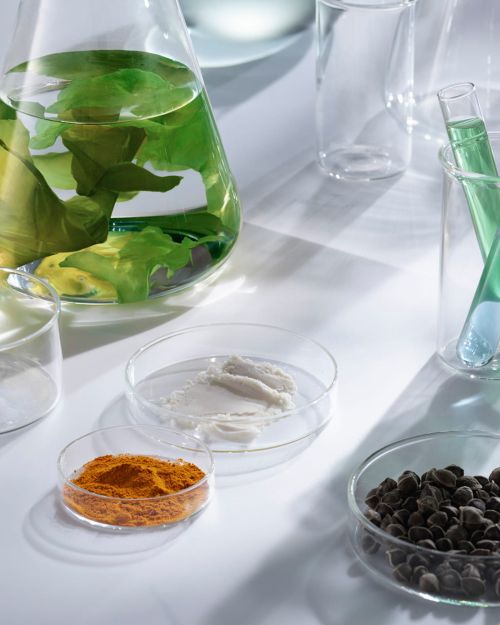 Laboratory glassware filled with vibrant powders, green plant, and liquids. Science background featuring beakers, flasks, and petri dishes.