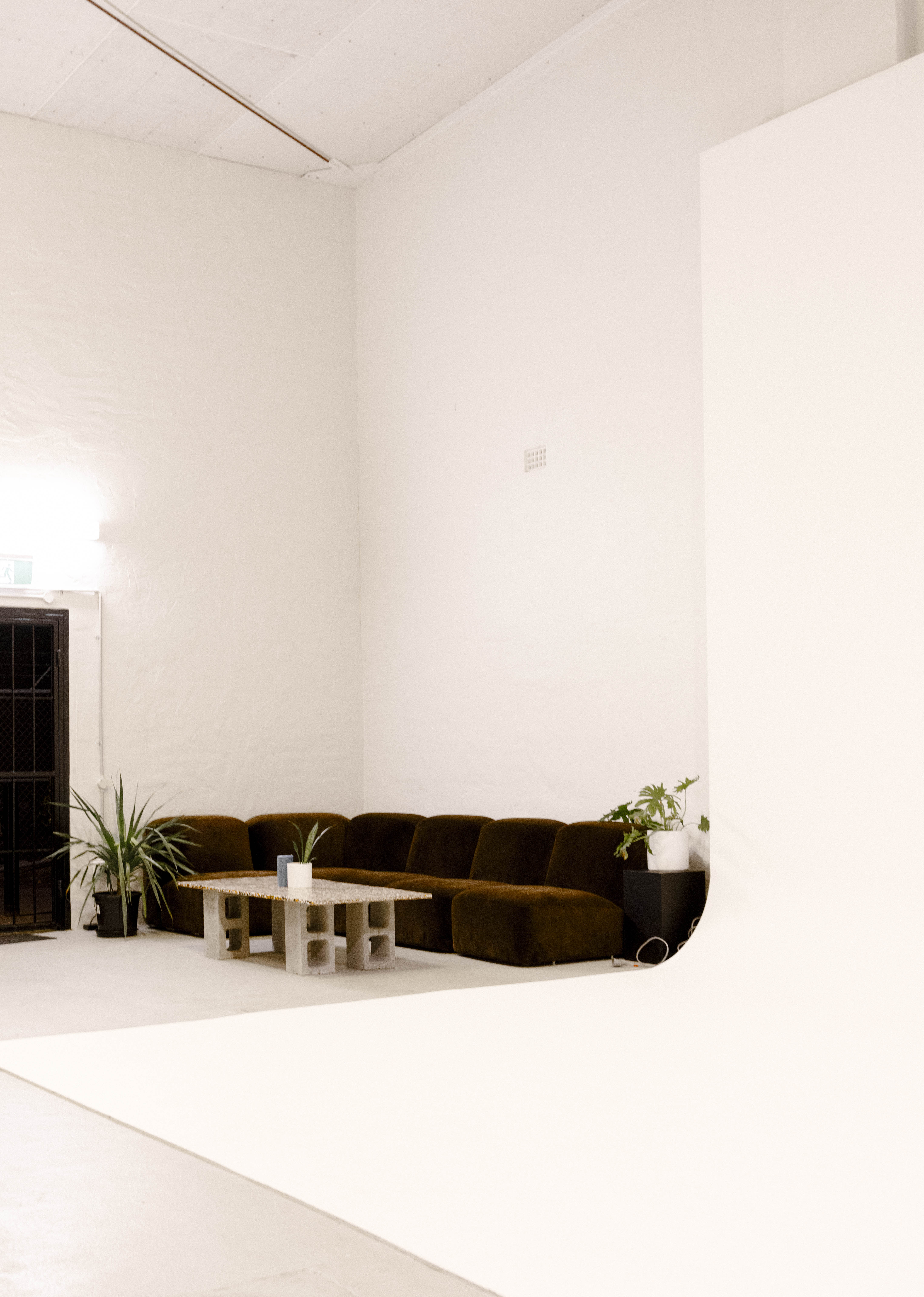 Photo studio interior featuring a brown sectional sofa, a modern table, potted plants, and a blank white backdrop.