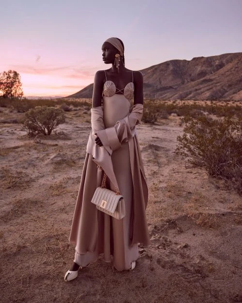 Fashion portrait of a Black woman in a flowing gown, standing in a desert landscape at dusk, accessorized with a handbag and jewelry.