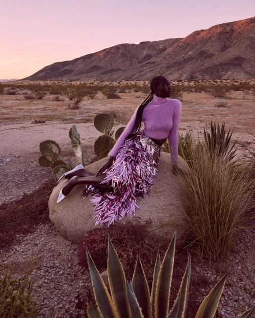 A woman in a purple top and feathered skirt sits on a rock in the desert at dusk with mountains in the background.