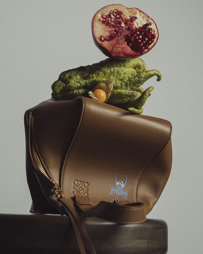 Loewe handbag with citrus fruit and pomegranate on a wooden surface against a soft grey background, fashion and still life concept.