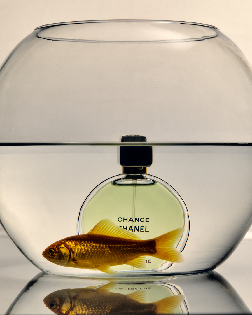 Goldfish swims in a glass bowl near a Chance Chanel perfume bottle, creating a surreal and eye-catching still life composition.