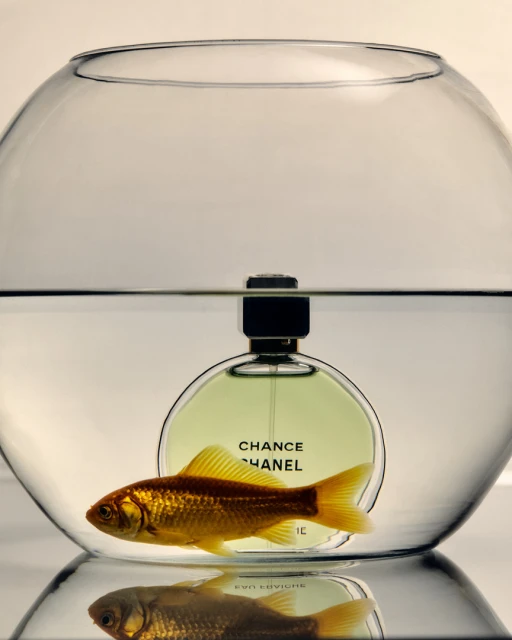 Goldfish swims in a glass bowl near a Chance Chanel perfume bottle, creating a surreal and eye-catching still life composition.