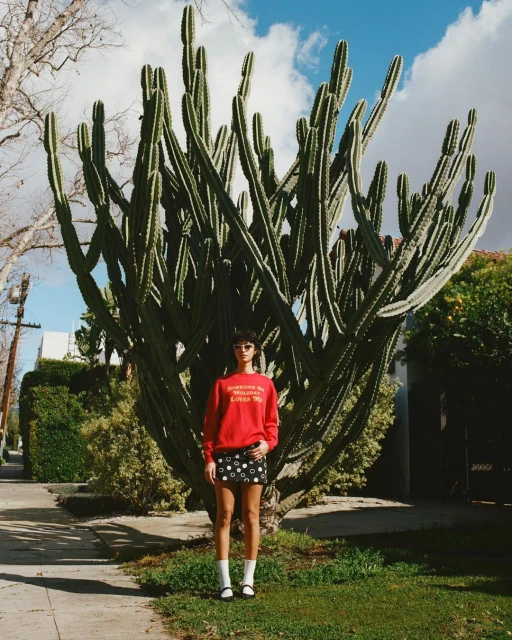 Woman in red sweatshirt and patterned miniskirt stands in a green urban space, highlighted by a towering cactus and blue sky backdrop.