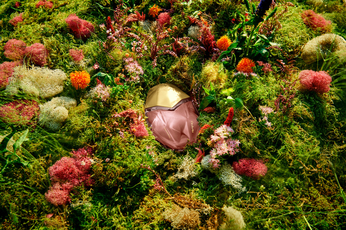 Perfume bottle amidst a bed of green moss and colorful flowers. Product shot with natural elements. Outdoors, beauty industry imagery.