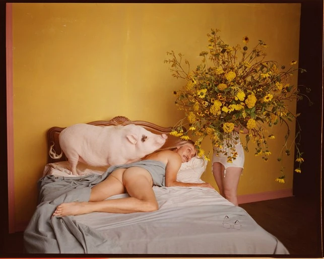 Woman lies on a bed with a pig standing on the bed next to her, and a woman is standing next to the bed holding a bouquet of yellow flowers.