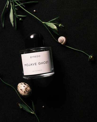 Byredo Mojave Ghost perfume bottle styled on black background with green stems, a snail shell, and a speckled egg.