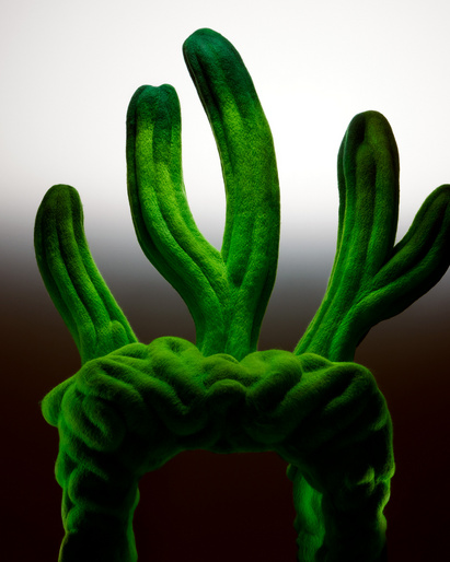 Abstract fractal art rendering featuring a biomorphic green element with a complex, organic, textured structure against a gradient background.