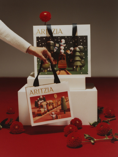 Aritzia shopping bags on white cubes, with a hand holding one bag, red flowers scattered on a red surface, and a grey background.