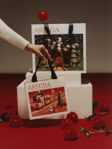 Aritzia shopping bags on white cubes, with a hand holding one bag, red flowers scattered on a red surface, and a grey background.