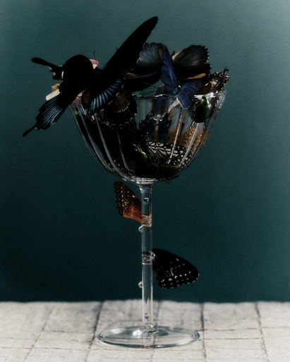 Elegant composition of black and blue butterflies filling a stemmed glass on a tiled surface against a dark teal backdrop.