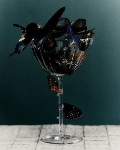 Elegant composition of black and blue butterflies filling a stemmed glass on a tiled surface against a dark teal backdrop.