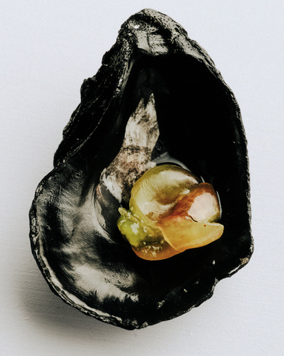 Studio shot of a black oyster shell with a pearlescent interior and yellow, brown, and white edible oyster meat inside.