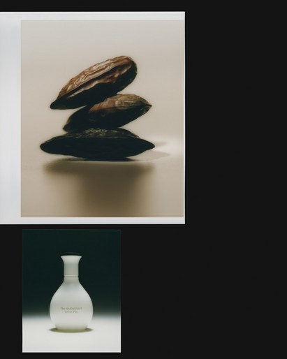 Stacked cocoa pods with a white ceramic bottle below on a neutral background