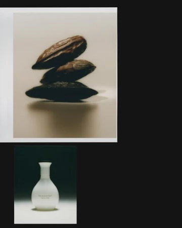 Stacked cocoa pods with a white ceramic bottle below on a neutral background