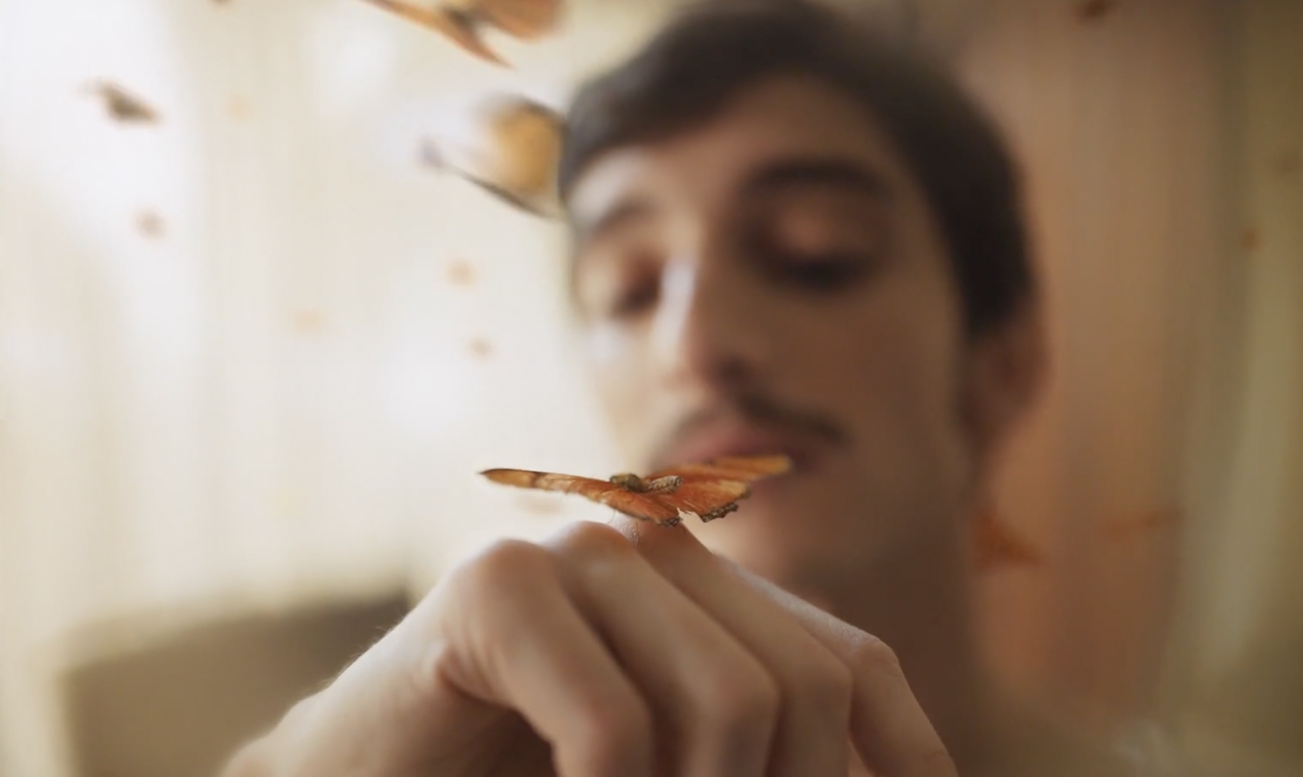 Close-up of a man with a mustache looking down at a butterfly resting on his finger, surrounded by other butterflies.