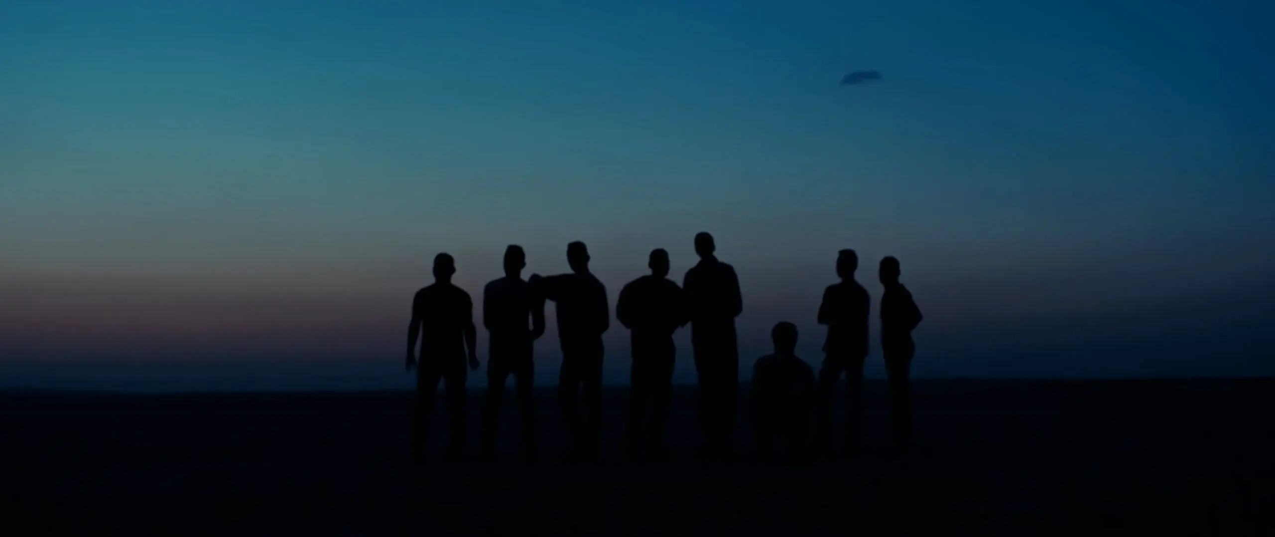 Silhouette of a group of nine people standing in a line outdoors against a twilight sky with blue and dark gradient at dusk.