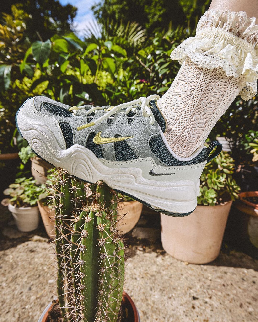 Nike shoe on top of a cactus in a pot with a woman's ankle and frilly sock visible, set in a garden with green foliage.