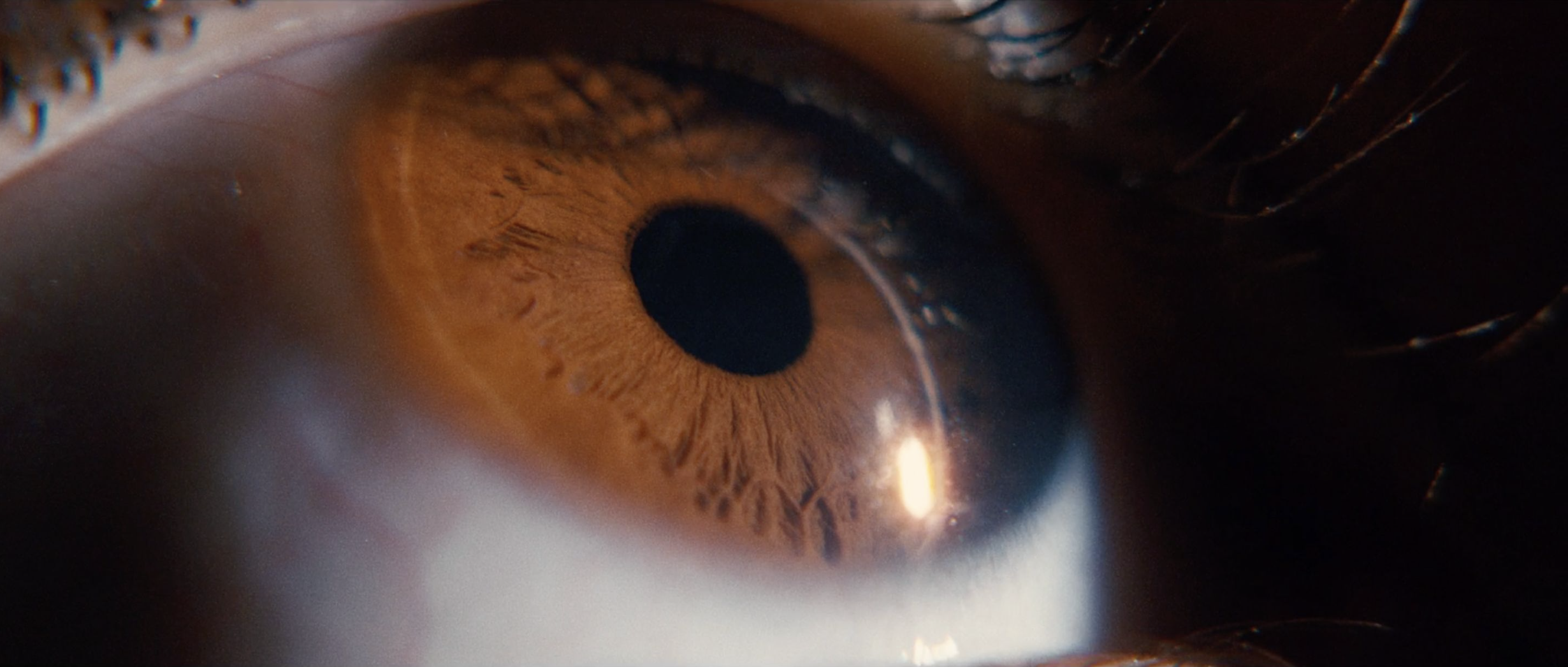 Macro close-up of a brown human eye capturing iris details, eyelashes, and eye texture, with a shallow depth of field.