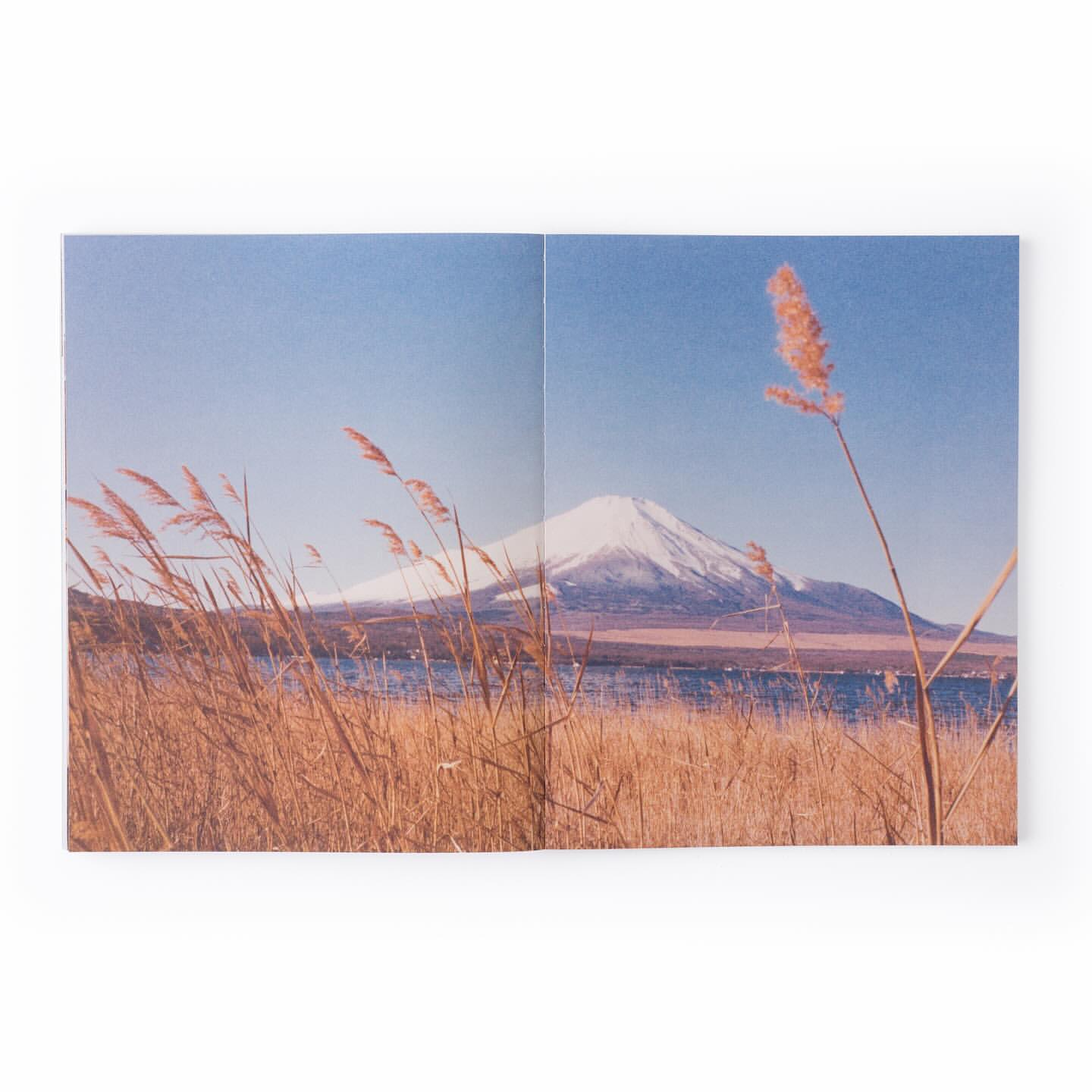 Mountain range with snow-covered peak over a body of water, framed by tall grass. A scenic vista with natural elements.