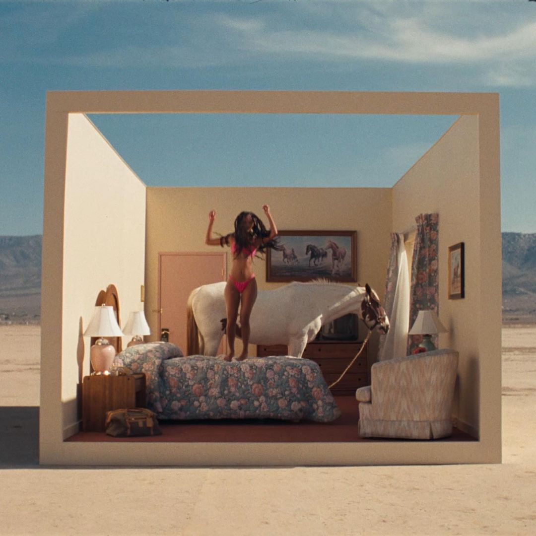 A woman in a pink bikini is standing on a flower patterned bed while a white horse is eating from a television inside of a box room.
