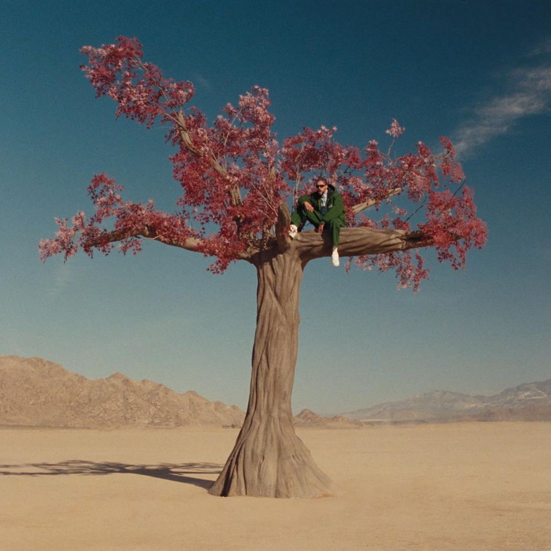 Man in a green suit sits on a tree branch in a desert landscape with a blue sky. The tree has red leaves and a thick trunk.