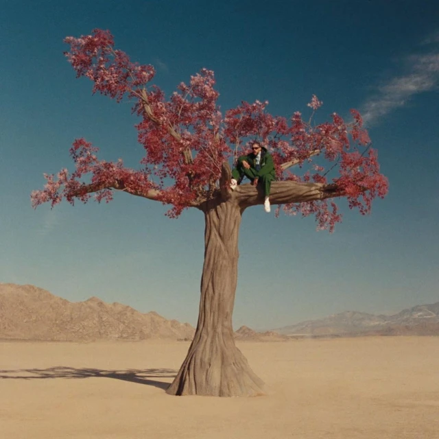 Man in a green suit sits on a tree branch in a desert landscape with a blue sky. The tree has red leaves and a thick trunk.
