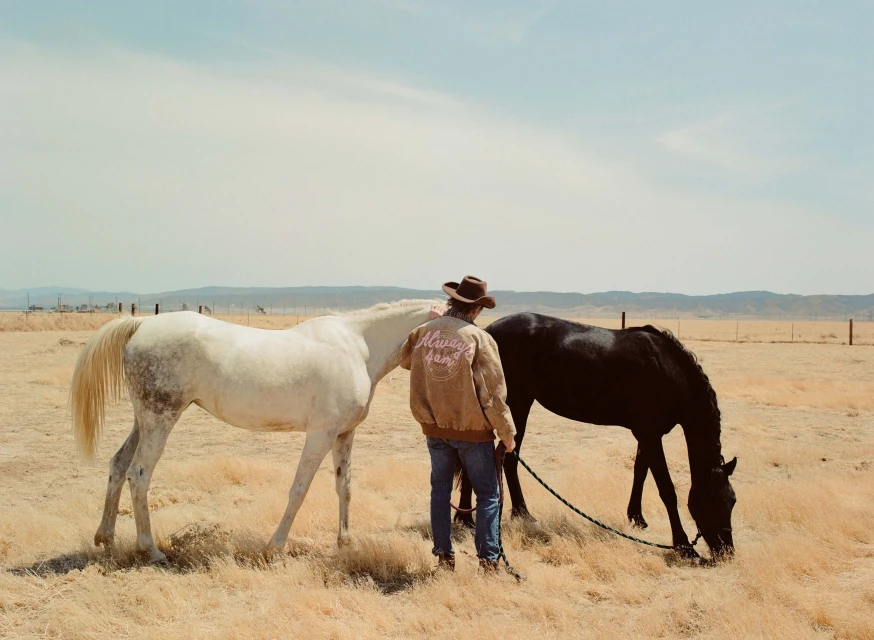 Cowboy in a tan jacket pets a white horse while standing next to a black horse in a dry grassy field under a bright blue sky.