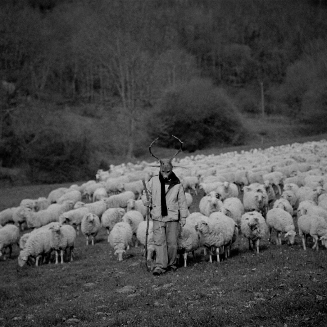 Black and white image of a person wearing an animal mask with a flock of sheep in a field, and a tree-covered hill in the background.