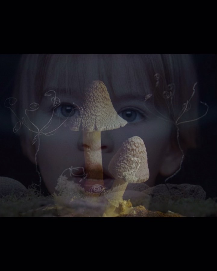 Surreal double exposure image of a child's face overlaid with mushrooms and floral accents in a dark, mysterious outdoor setting.