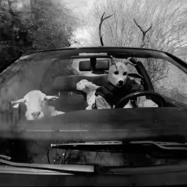 A person in a wolf mask drives a convertible car with two sheep visible in the passenger seat, in a black and white photograph.