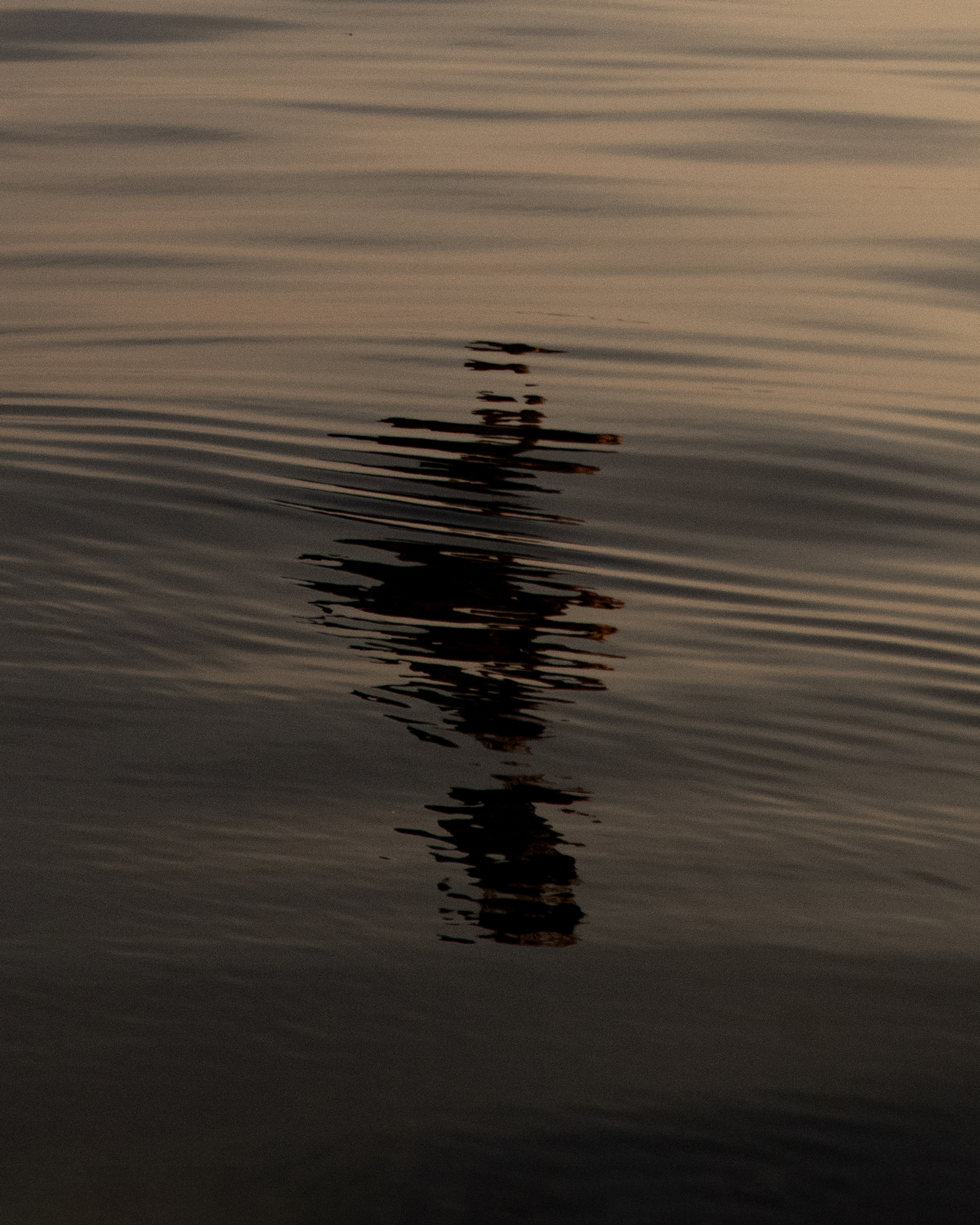 Abstract water ripples with reflections create a serene, moody background. Dark, muted colors dominate the tranquil water surface.