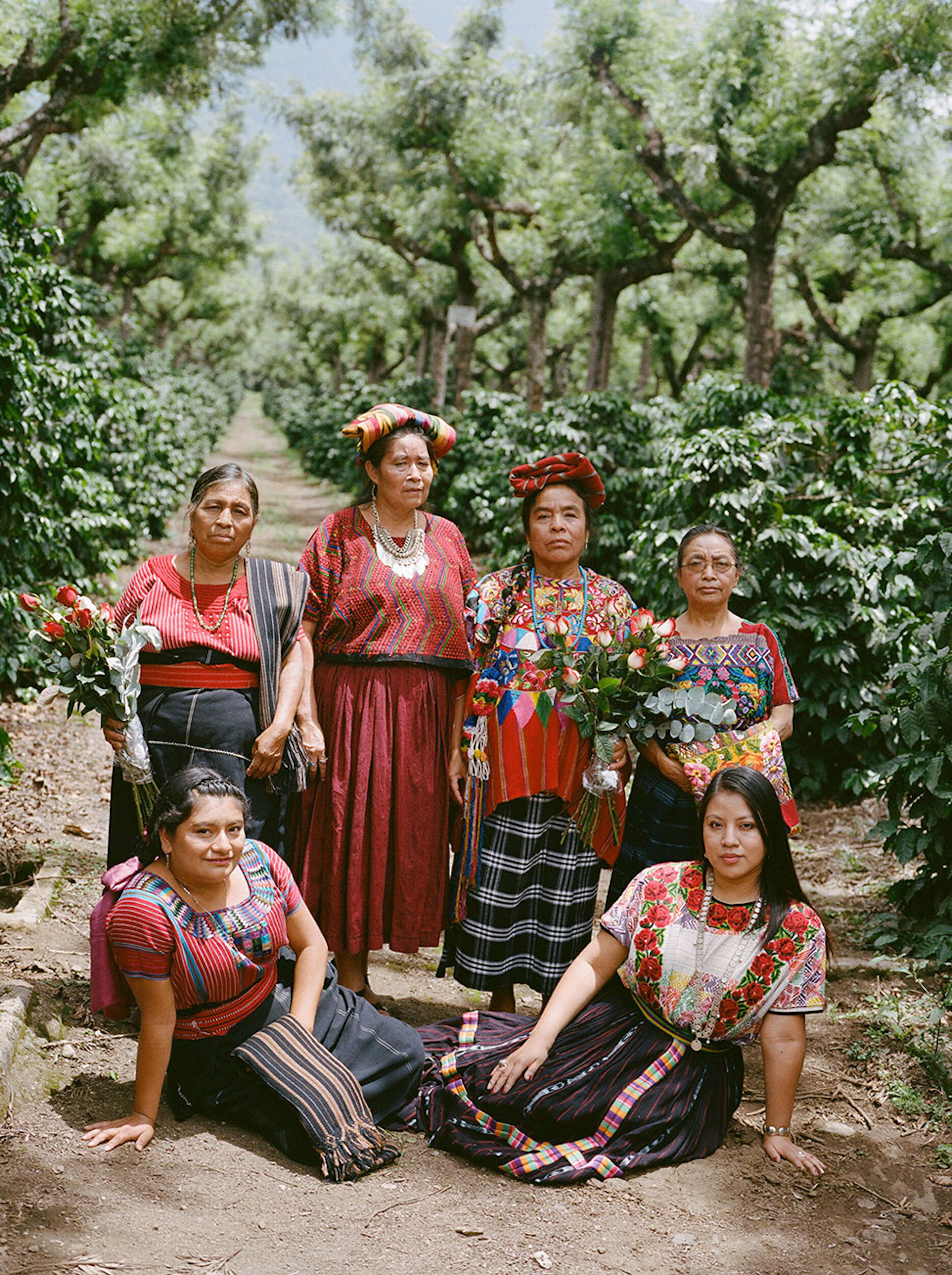 Six Indigenous women wearing traditional clothing and headwear pose with flowers in an outdoor plantation setting with rows of trees.