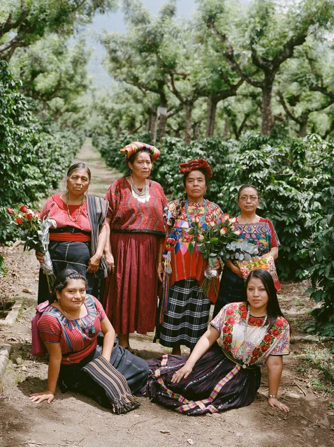 Six Indigenous women wearing traditional clothing and headwear pose with flowers in an outdoor plantation setting with rows of trees.