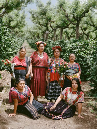 Six Indigenous women wearing traditional clothing and headwear pose with flowers in an outdoor plantation setting with rows of trees.