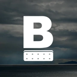 Biscuit