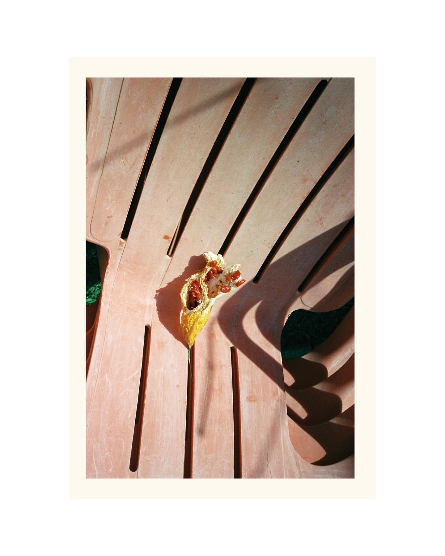 Overhead shot of a deconstructed tamale on a wooden slatted table with dramatic shadows and golden sunlight, showcasing the inner ingredients.