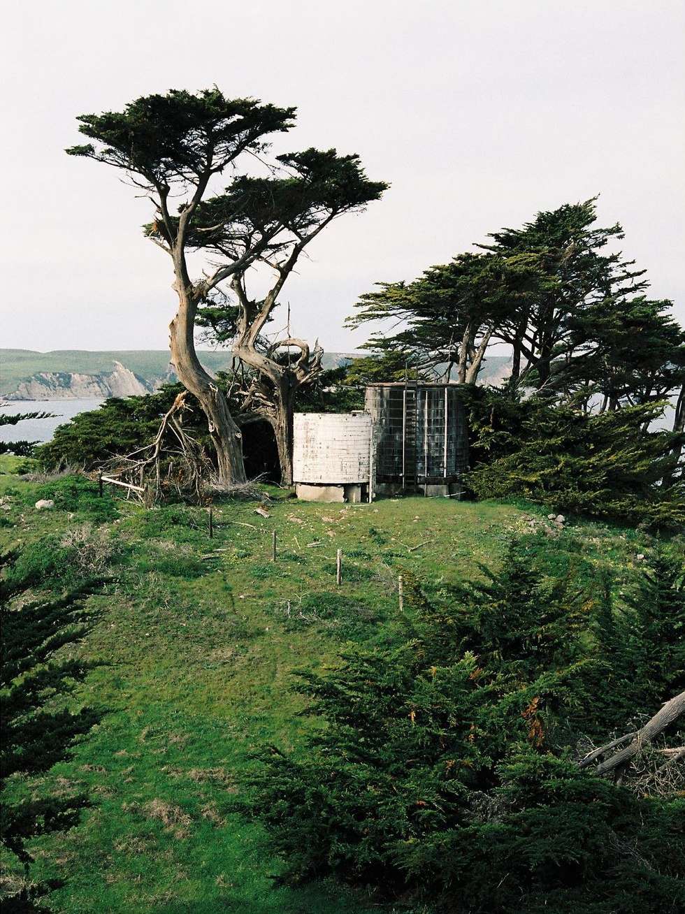 Coastal landscape featuring trees, green grass, and storage tanks, with a view of the ocean in the background under an overcast sky.