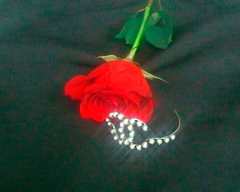 A red rose with green leaves is placed on a dark background, a silver bracelet accented with small pearls lies nearby the rose.
